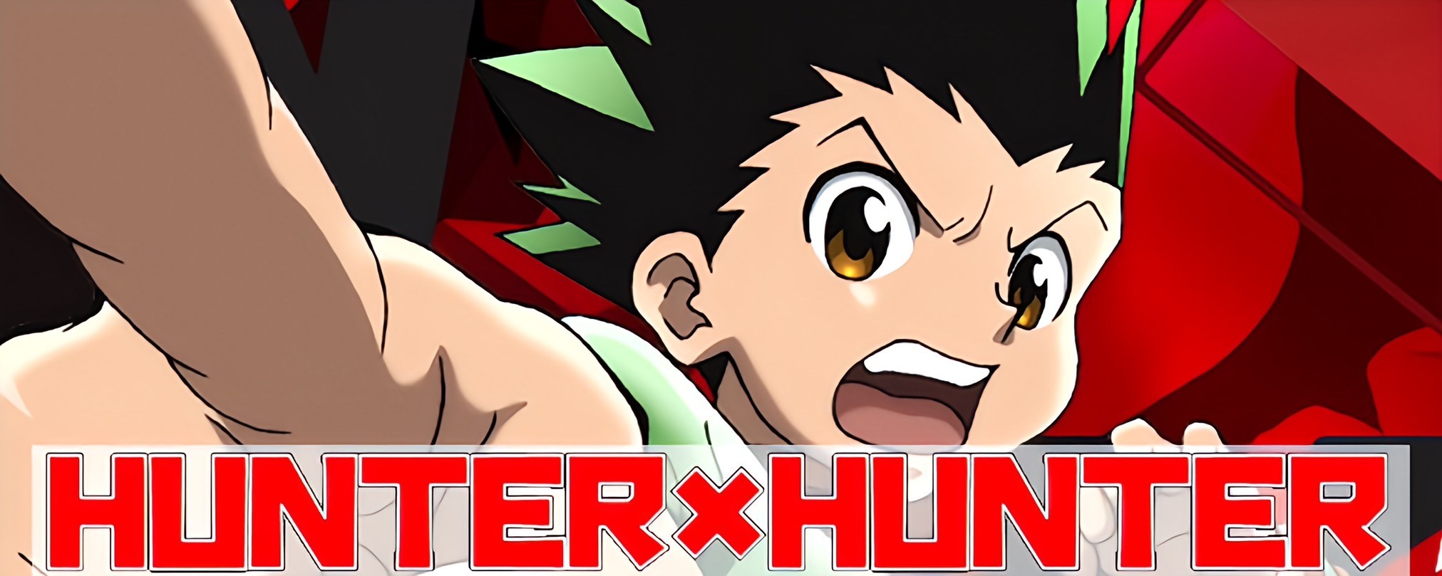 HUNTER×HUNTER